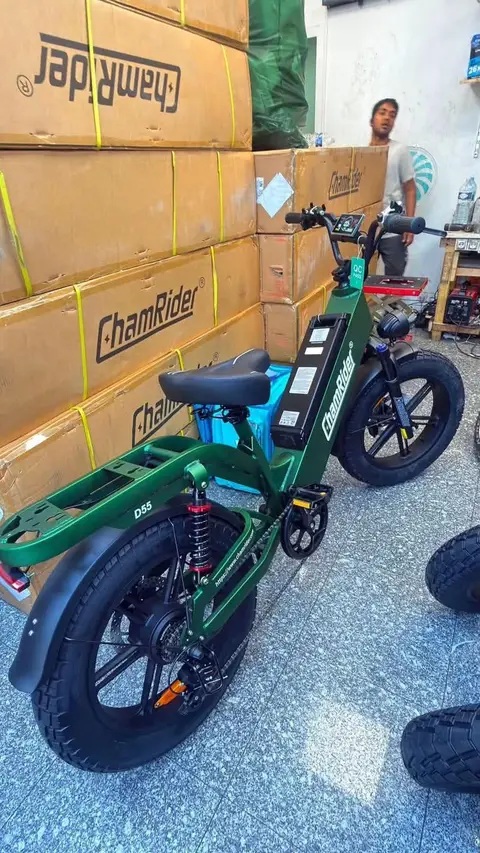 Vélo électrique tout terrain — photo 2